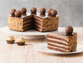 Chocolate & Hazelnut Cake